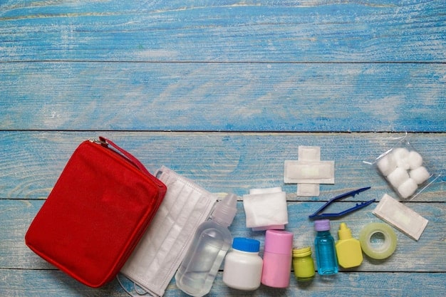 DIY Pet First-Aid Kit: Build a Life-Saving Kit for Under $25 in 2025