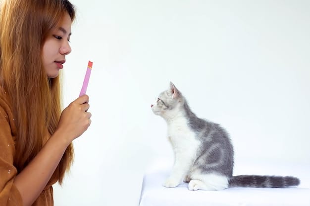 A cat owner carefully using a syringe to administer oral medication to their pet cat. The cat is calm and relaxed, and the owner is holding the cat gently but firmly. Focus on the trust and care between the owner and the pet.
