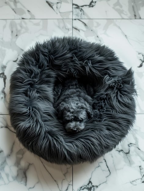DIY Dog Bed Upgrade: Cozy Retreat in 3 Hours