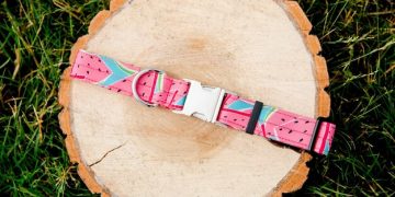 Stop Spending! DIY Dog Collar for Under $10 - Cover Image