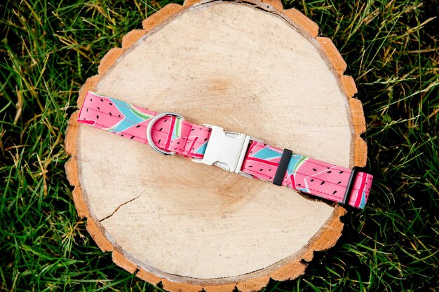 Stop Spending! DIY Dog Collar for Under $10