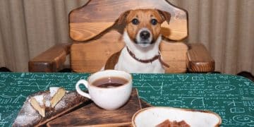 DIY Pet Bowl Stand: Elevate Your Furry Friend's Dining - Cover Image
