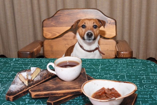 DIY Pet Bowl Stand: Elevate Your Furry Friend’s Dining