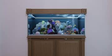 Build Your Own Aquarium Stand: A DIY Guide for Fish Enthusiasts - Cover Image