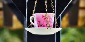 DIY Bird Feeder Project: Attract Birds to Your US Backyard This Spring - Cover Image
