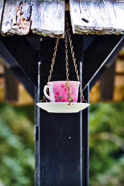 DIY Bird Feeder Project: Attract Birds to Your US Backyard This Spring