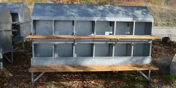 Build a Chicken Coop from Pallets: A Sustainable Project - Cover Image