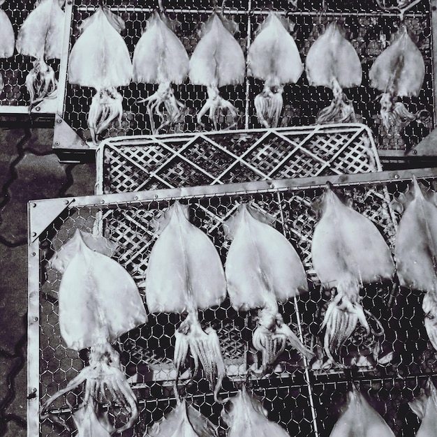 A close-up shot of the ventilation system in a pallet chicken coop, showing hardware cloth covering the vents to prevent predators and ensure good airflow.