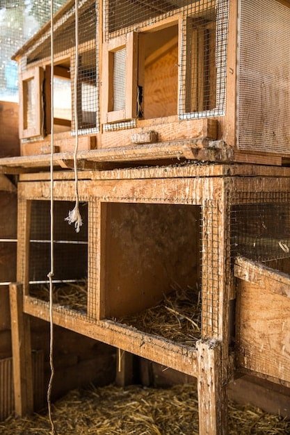 DIY Rabbit Hutch Upgrade: Expand Space for Under $40