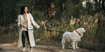 Leash Reactivity SOS: Calm Your Dog Now! - Cover Image