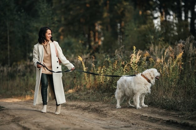 Leash Reactivity SOS: Calm Your Dog Now!