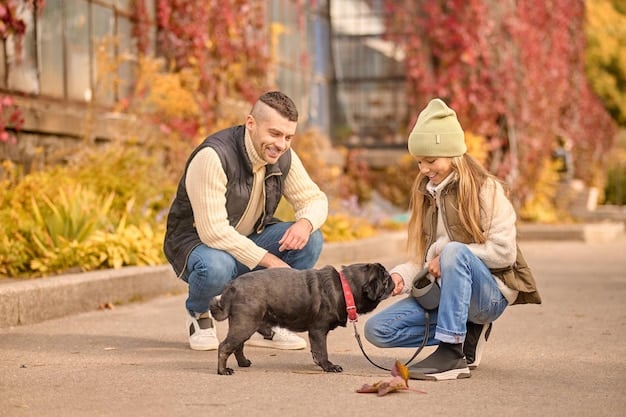 A dog sitting calmly on a sidewalk while other people and dogs walk by in the background. The dog is wearing a leash and harness, and the owner is holding the leash loosely, maintaining a relaxed posture.