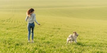 Recall Reliability: Achieve 95% Off-Leash Success in 3 Weeks - Cover Image