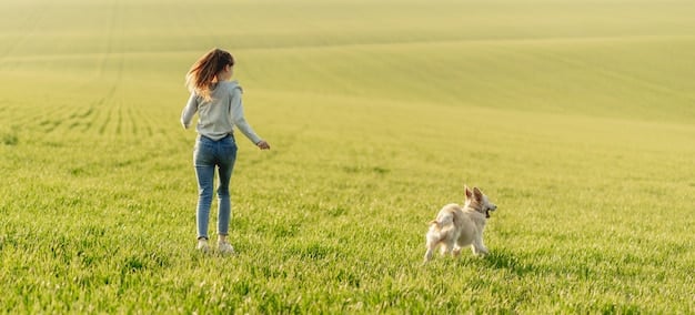 Recall Reliability: Achieve 95% Off-Leash Success in 3 Weeks