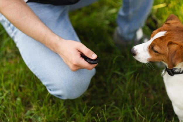 A close-up shot of a dog trainer using a clicker while training a dog. The dog is focused and attentive, sitting in a well-maintained park with green grass and trees in the background.
