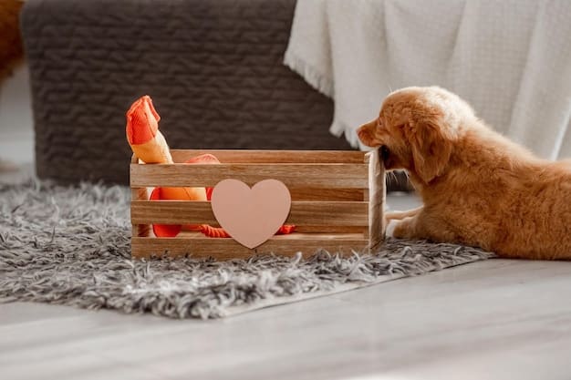 Overcome Crate Training Resistance: A 5-Day Guide to a Happy Crate