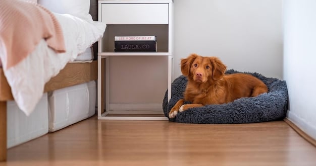 A medium-sized dog lying calmly in a crate with the door closed, chewing on a chew toy. The dog appears relaxed and comfortable, and the crate is in a living room setting.
