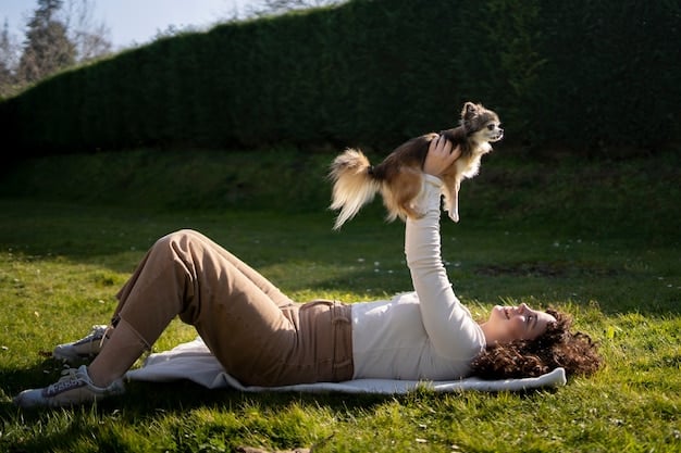 A high-energy dog happily playing fetch in a park with its owner, showcasing the benefits of exercise and mental stimulation in reducing anxiety.