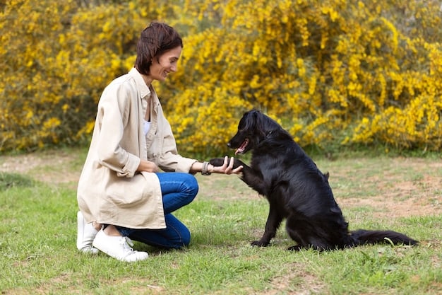 A dog trainer working with a German Shepherd. The trainer is holding a treat and giving the dog a hand signal, while in a park setting during the day.
