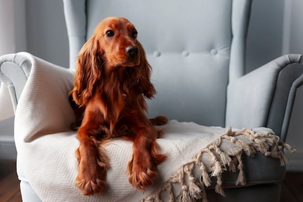 Fear of Fireworks: A Guide to Desensitizing Your Dog