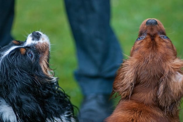 A close-up shot of two dogs, a golden retriever and a beagle, gently sniffing each other's faces while their owners stand close by, loosely holding their leashes. The dogs should appear relaxed and curious, with soft body language.