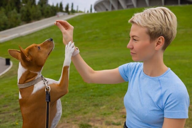 Clicker Training Mastery: Unlock Advanced Commands