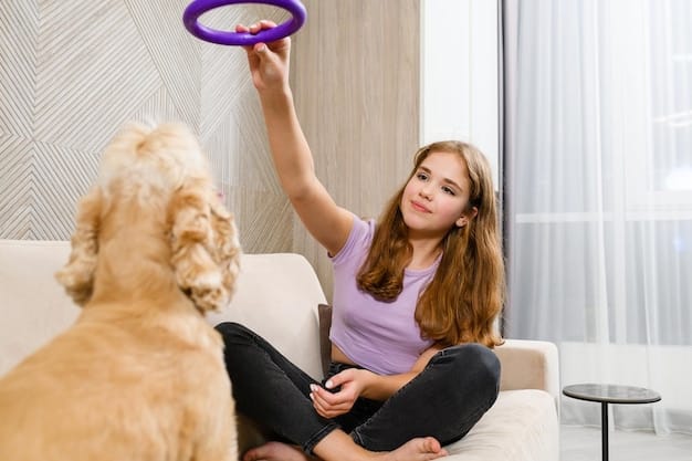 A dog performing a complex trick, like jumping through a hoop or balancing on a ball, being clicker trained by its owner in a controlled indoor environment.
