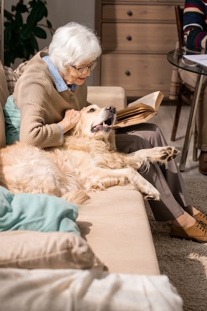 An elderly woman sitting on the floor, gently petting her senior pug who is wearing a colorful dog diaper. The setting is a cozy living room with soft lighting, emphasizing comfort and care.