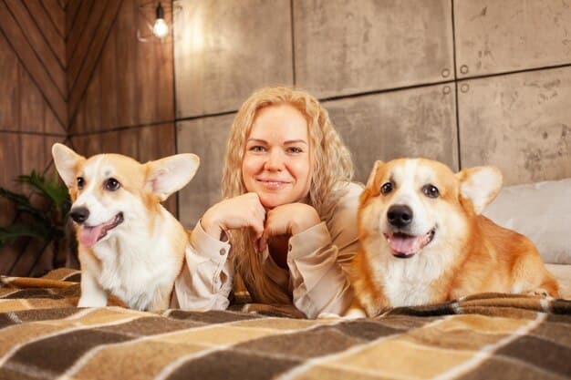 Multi-Dog Harmony: Stop Fights & Lead Your Pack