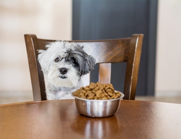 Resource Guarding Rehab: Safely Addressing Food & Toy Aggression