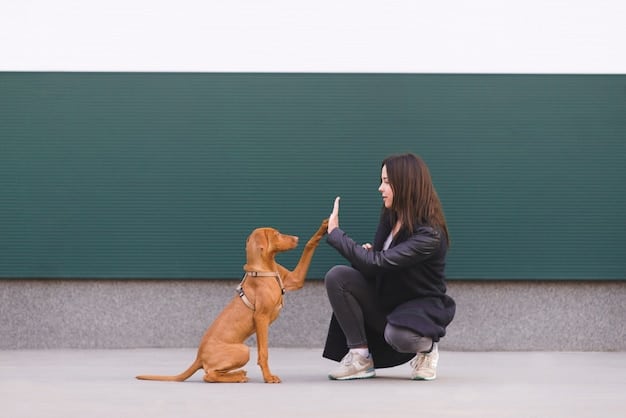A medium shot of a dog trainer gently guiding a dog during a training session, both looking focused and calm. The trainer is using hand signals and the dog is responding attentively.