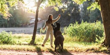 Loose-Leash Walking: Revolutionary Technique for Stress-Free Dog Walks - Cover Image