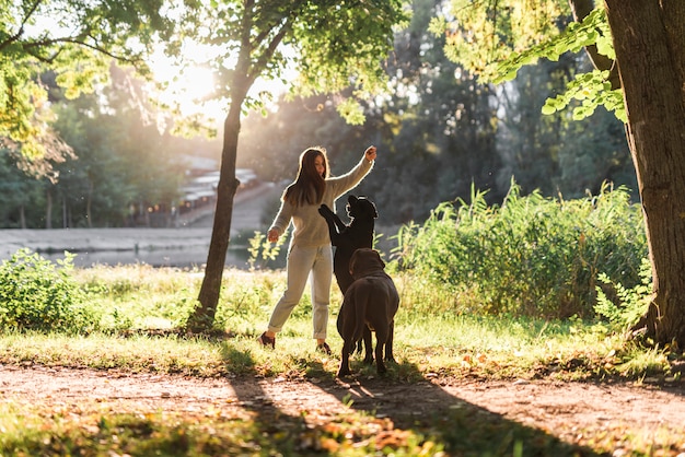 Loose-Leash Walking: Revolutionary Technique for Stress-Free Dog Walks