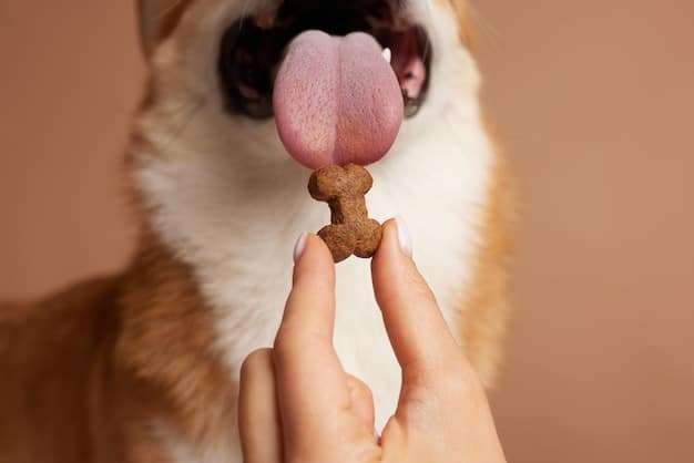 A close-up shot shows a hand holding a treat near a dog's nose, luring the dog to walk calmly by the person's side during loose-leash walking training. The dog is focused on the treat, and the leash is loose, indicating successful training.