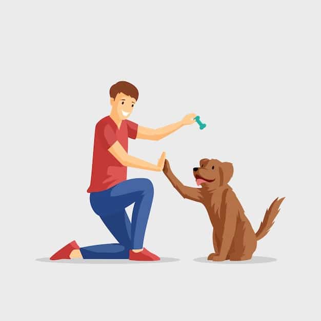 A person kneeling down to reward a dog with a treat. The dog is sitting calmly and looking up at the person, with a loose leash between them. They are in a park setting with other dogs in the background at a distance.