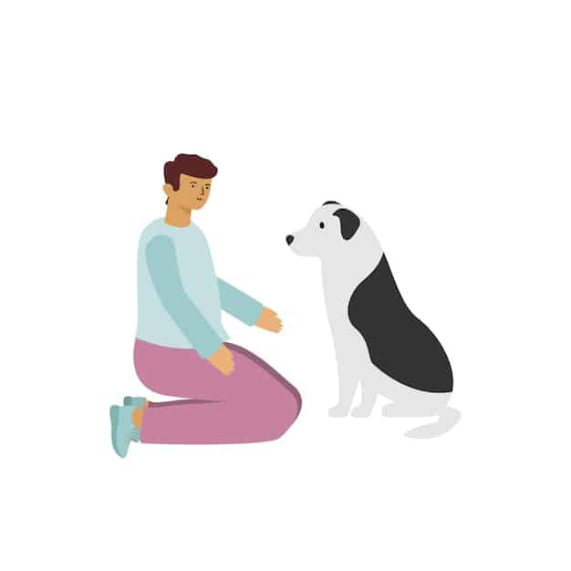 A person is kneeling to greet a small dog, who is sitting calmly, with all four paws on the ground. The person's hand is extended, offering a treat to the dog. This interaction is taking place in a home's entryway, with a coat rack and shoes visible in the background.