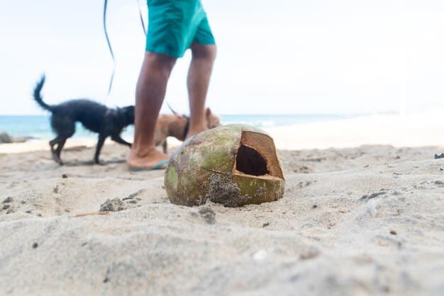 A close-up shot of a dog's paws digging into soft sand within a wooden-framed dig pit. Toys are partially buried in the sand, encouraging further exploration.