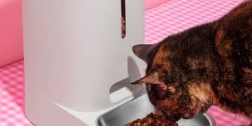 Are Smart Pet Feeders Worth It? 2025 Review of Top Models - Cover Image