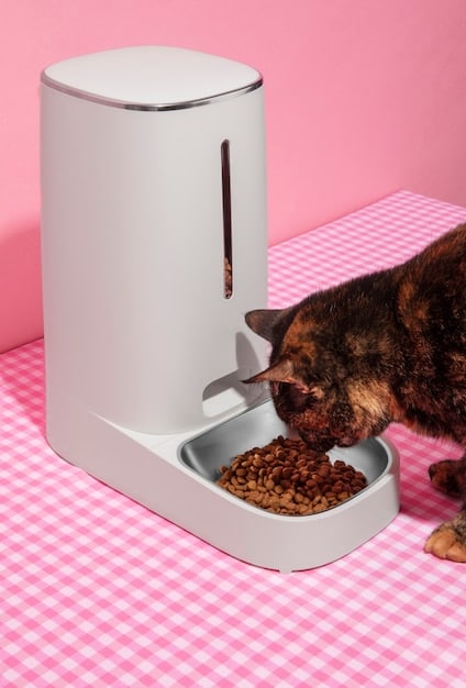 Are Smart Pet Feeders Worth It? 2025 Review of Top Models