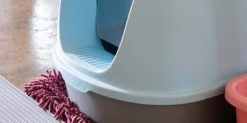 Do Automatic Cat Litter Boxes Really Work? 2025 Reviews - Cover Image
