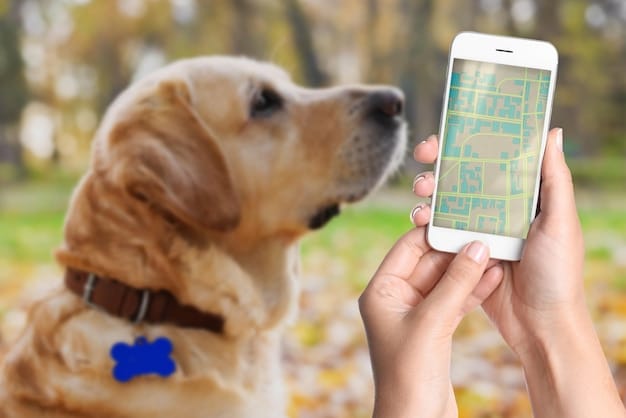 A close-up of a smartphone screen displaying a GPS pet tracker app, showing a dog's location on a map and detailed activity statistics. The app interface is clean and user-friendly.