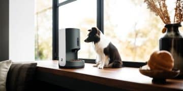 Petcube Camera Review: Is It Worth the Hype After 3 Months? - Cover Image