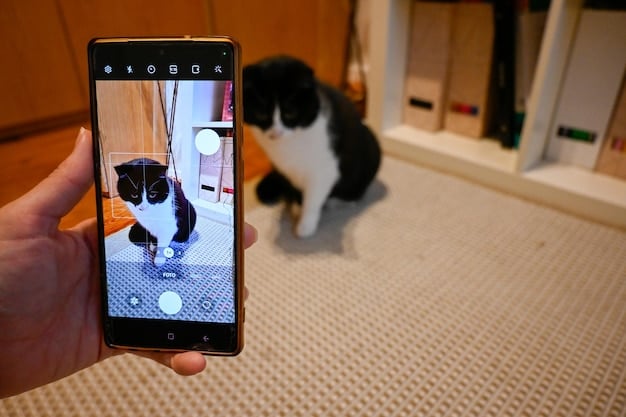 A close-up of the Petcube app interface on a smartphone, showing the live video feed of a cat playing with a laser pointer controlled through the app. The interface displays buttons for controlling the laser, speaking to the pet, and recording video.
