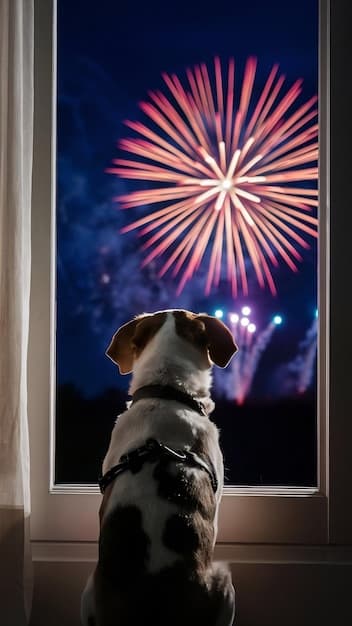 Dog Anxiety Vests: Honest 2025 Reviews & What to Really Expect