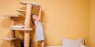 Cat Trees Under $100: Durability Review & Budget Options - Cover Image