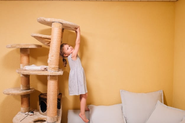 Cat Trees Under $100: Durability Review & Budget Options