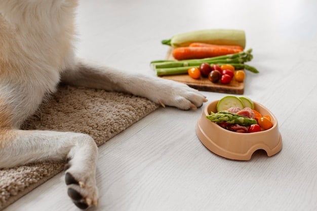 Are Elevated Dog Bowls Better? A Vet-Approved Review
