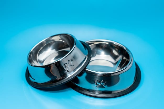 A split image showcasing two different elevated dog bowl products: on the left, a stainless steel bowl in a simple black metal stand; on the right, a more decorative wooden stand supporting two ceramic bowls.