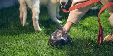 The Scoop on Poop Bags: Eco-Friendly & Biodegradable Options in 2025 - Cover Image