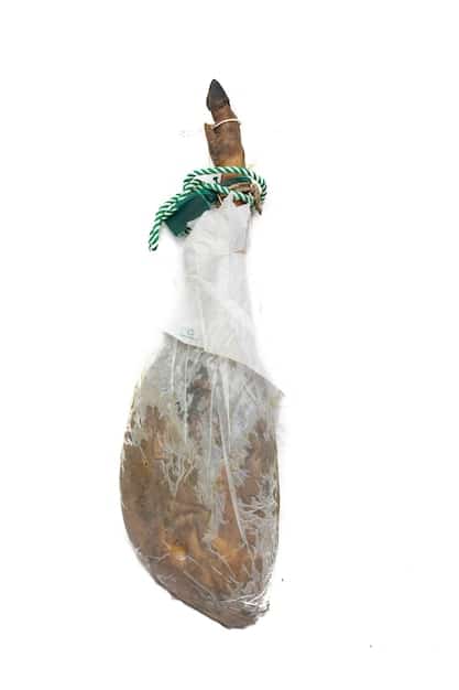 A split image showcasing the decomposition process. On one side, a standard plastic bag buried in soil shows little to no degradation after a year. On the other side, a compostable poop bag is almost fully decomposed in the same time frame, with visible signs of organic breakdown.